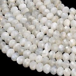 Natural White Moonstone Beads Strands&nbsp;G-C280-A09-01