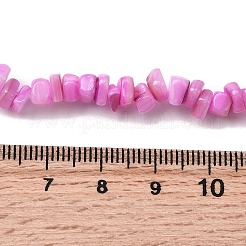 天然淡水シェルビーズ  染め  ナゲット  スミレ  4.5~9x4.5~7x1.5~5mm  穴：0.8mm  約163~165個/連  14.88~15.08''（37.8~38.3センチメートル）&nbsp;SHEL-B003-01F