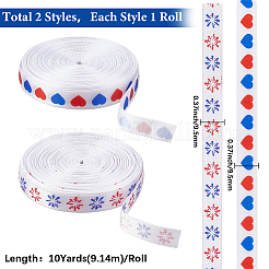 2 Rolls 2 Styles Independence Day Themes Polyester Ribbon&nbsp;OCOR-GF0004-50C