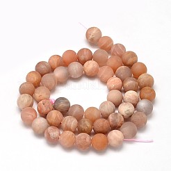 Frosted Round Natural Sunstone Bead Strands&nbsp;G-L357-10mm-06