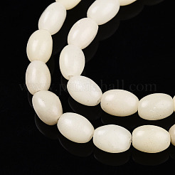 Natural White African Opal Beads Strands&nbsp;G-N346-02B-10