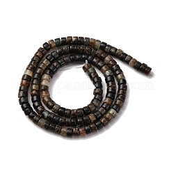 Natural Biotite Beads Strands&nbsp;G-L624-I12-2x4mm