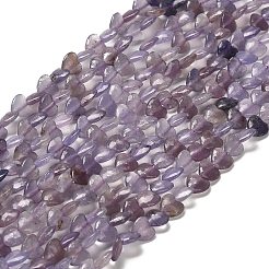天然レピドライト/パープルマイカストーンビーズ連売り  ハート  5.5x6~6.5x2.5~3mm  穴：0.7mm  約69~72個/連  14.88~15.2（37.8~38.6センチメートル）&nbsp;G-P575-C01-6mm