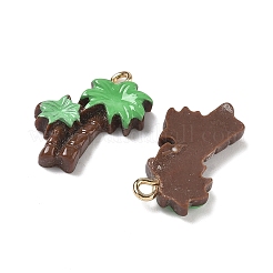 Opaque Resin Pendants&nbsp;RESI-G120-01E