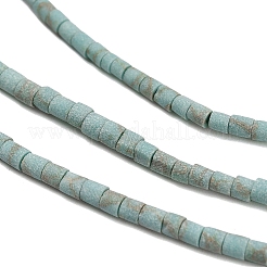 Dyed Synthetic Turquoise Beads Strands&nbsp;G-P594-01B-05