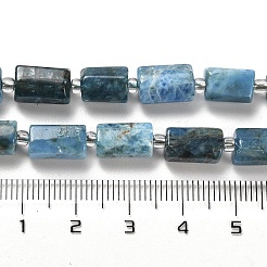 Natural Apatite Beads Strands&nbsp;G-N327-06-27