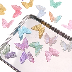 5個の蓄光アクリルビーズ  グリッターパウダー付き  暗闇で光る  蝶  ミックスカラー  27x37mm  穴：2mm&nbsp;PW-WG6B35B-01