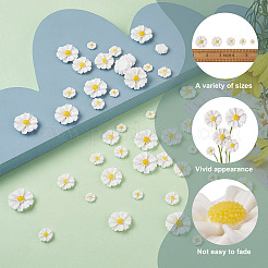 150Pcs 5 Style Opaque Resin Cabochons&nbsp;CRES-BT0001-03