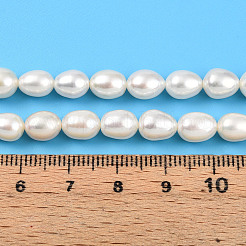 天然養殖淡水パールビーズ連売り  ライス  乳白色  7~8.5x6~6.5mm  穴：0.5mm  約48個/連  14.37~14.57''（36.5~37センチメートル）&nbsp;PEAR-N012-06-03A