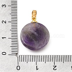 天然石アメジストペンダント  真鍮の太陽が付いたフラットラウンドいチャーム  ゴールドカラー  20x16x7mm  穴：6.5x3.5mm&nbsp;G-T151-01A
