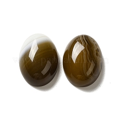 Natural Banded Agate Cabochons&nbsp;G-G975-01B-01