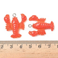 樹脂チャーム  プラチナトーンの鉄ループ付き  ロブスター  28x25x6.5mm  穴：2mm&nbsp;LS-RESI-F060-01A