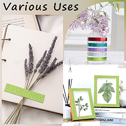 DIY Scrapbook Decorative Laser Paper Tapes&nbsp;DIY-WH20001-98E