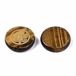 Natural Tiger Eye Cabochons&nbsp;G-S375-009D