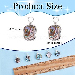 8 スタイル天然アワビ シェル/パウア シェル ペンダント 4 個  環境にやさしい銅線巻きシェルチャーム  長方形 & ひし形 & ティアドロップ & フラットラウンド  プラチナ  18.4~19.7x10.5~15x3.5~4mm  穴：2.2~2.4mm  2個/スタイル&nbsp;FIND-SZ0003-08