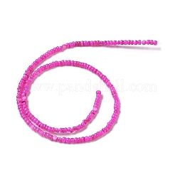 Natural Freshwater Shell Beads Strands&nbsp;SHEL-P017-01B-01