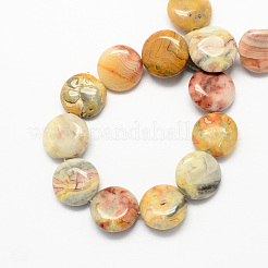 Flat Round Natural Crazy Lace Agate Beads Strands&nbsp;G-S110-14mm-05