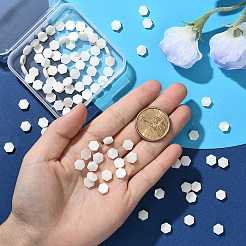 2 Strands Natural Freshwater Shell Beads Strands&nbsp;SSHEL-SC0001-36B