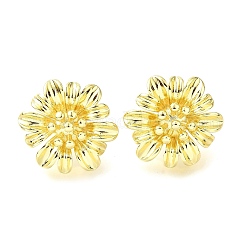 女性のための真鍮のスタッドピアス  デイジーの花  ライトゴールド  24x26.5mm&nbsp;EJEW-F365-04LG