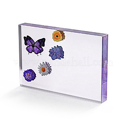 DIY Decoration Silicone Molds&nbsp;X-DIY-B038-01A