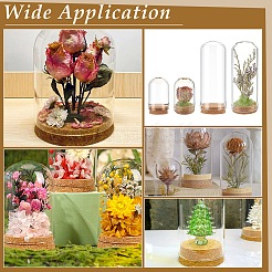 10Pcs 2 Styles Glass Dome Cloche Cover&nbsp;DJEW-NB0001-38