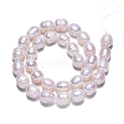 天然養殖淡水パールビーズ連売り  ライス  貝殻色  10~12x9~10mm  穴：0.7mm  約32~33個/連  13.39インチ（34cm）&nbsp;PEAR-N012-09B