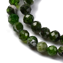 Natural Diopside Beads Strands&nbsp;G-G188-B14-02