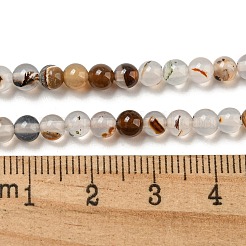 Natural Dendritic Agate Beads Strands&nbsp;G-A232-A01-01