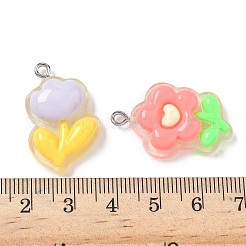 透明樹脂ペンダント  花  201ステンレススチールループ付き  ミックスカラー  26.5~29.5x17.5~22.5x6~8mm  穴：2mm&nbsp;RESI-I339-02P