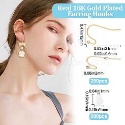 200Pcs 316 Surgical Stainless Steel Earring Hooks&nbsp;STAS-BBC0001-89