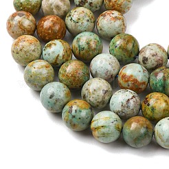 Natural Peruvian Turquoise(Jasper) Beads Strands&nbsp;G-T150-A01-8mm