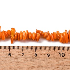 Natural Freshwater Shell Beads Strands&nbsp;BSHE-I016-01C