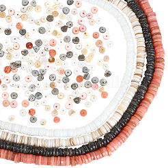 4 Strands 4 Colors Natural Shell Beads Strands&nbsp;SSHEL-PA0001-04