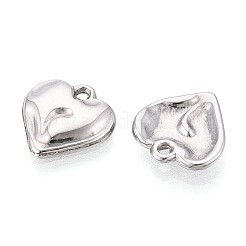 304 Stainless Steel Charms&nbsp;STAS-T065-24B-P