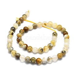 Natural Opal Beads Strands&nbsp;G-E576-12B
