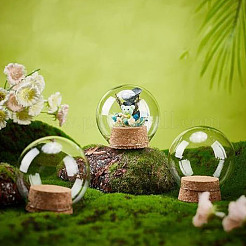 Glass Dome Cover&nbsp;FIND-WH0152-555