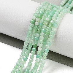 Natural Chrysoprase Beads Stands&nbsp;G-H042-B30-01