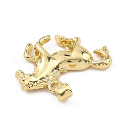 Brass Pendants&nbsp;KK-B177-10B-G