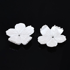 不透明樹脂ビーズキャップ  5花びら  花  ホワイト  29x30x7mm  穴：2mm&nbsp;RESI-S364-56