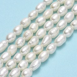 Natural Cultured Freshwater Pearl Beads Strands&nbsp;PEAR-J006-13B-01-X