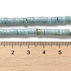 天然石ターコイズビーズ連売り  ディスク  ヒシビーズ  4x2mm  穴：1mm  約168個/連  14.96''（38センチメートル）&nbsp;X-G-M422-C01-01
