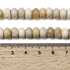 天然化石サンゴのビーズ連売り  ロンデル  8.5x5.5mm  穴：1mm  約73個/連  15.35''（39センチメートル）&nbsp;G-A280-A08-02