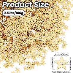 100G PET Paillette/Sequins Pendants&nbsp;KY-CY0001-24A