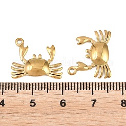 304 Stainless Steel Pendants&nbsp;STAS-L317-23G