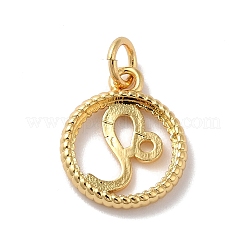 Brass Charms&nbsp;KK-A160-20G-02