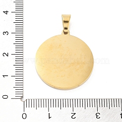 304 Stainless Steel Charms&nbsp;LS-STAS-M341-01G-06