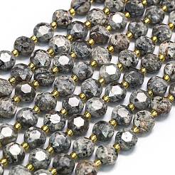 Natural Fluorescent Syenite Rock(Glow under UV Light) Beads Strands&nbsp;G-C116-A18-02