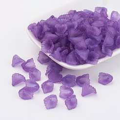 Transparent Acrylic Beads&nbsp;PL622-C01