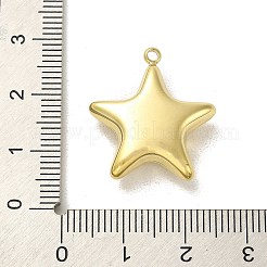304 Stainless Steel Pendants&nbsp;STAS-L022-115G