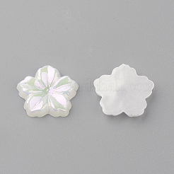 Acrylic Cabochons&nbsp;X-MACR-Q183-06